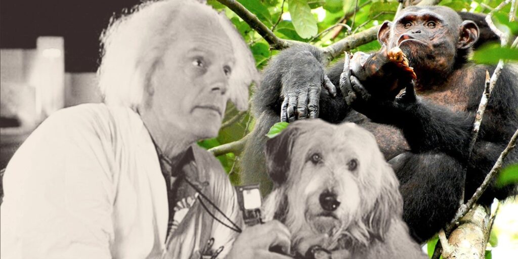 Regreso al futuro: explicación de Doc's Cut Monkey Sidekick