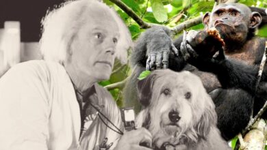 Regreso al futuro: explicación de Doc's Cut Monkey Sidekick