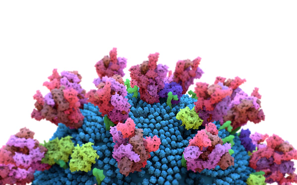 Reportan en Francia nueva variante del Covid; circula a niveles muy bajos