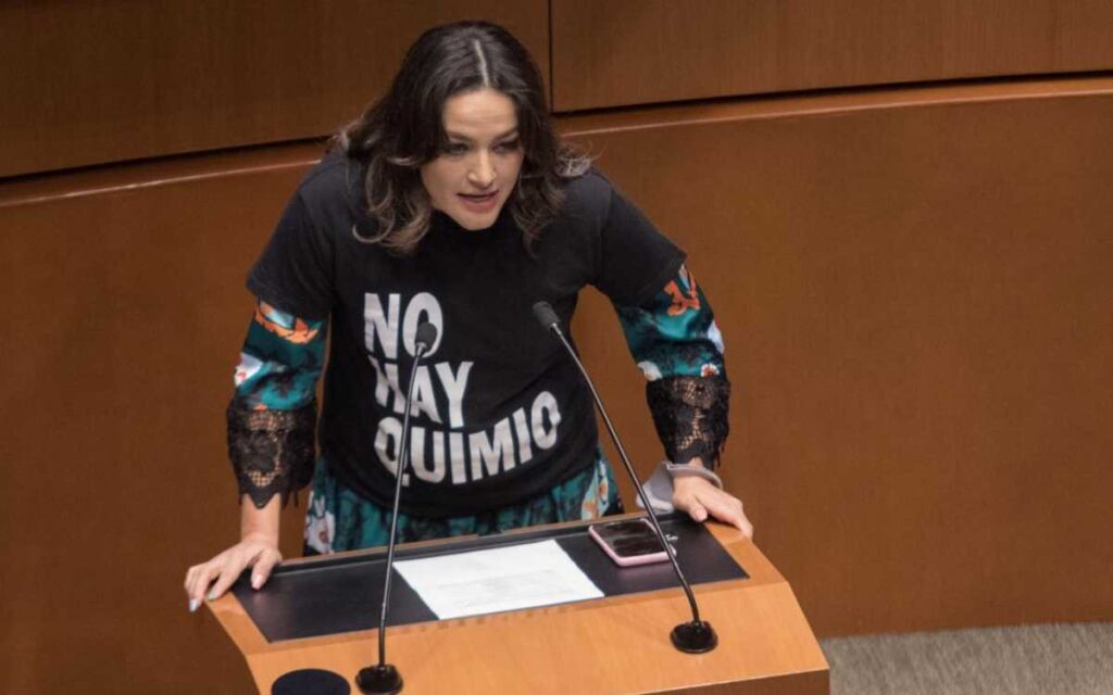 Senadora pasa del PAN al PT… hace poco pidió juzgar a AMLO como 'traidor a la patria'