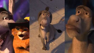 Shrek: 10 veces que los fans se sintieron mal por Donkey