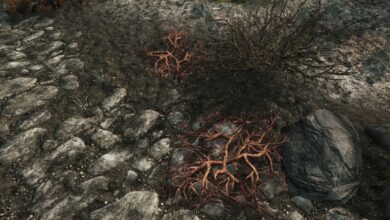 Skyrim: Cómo recolectar racimos de creeps