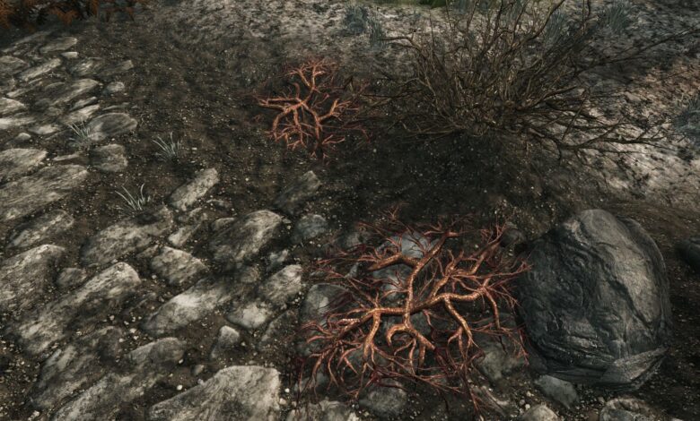 Skyrim: Cómo recolectar racimos de creeps