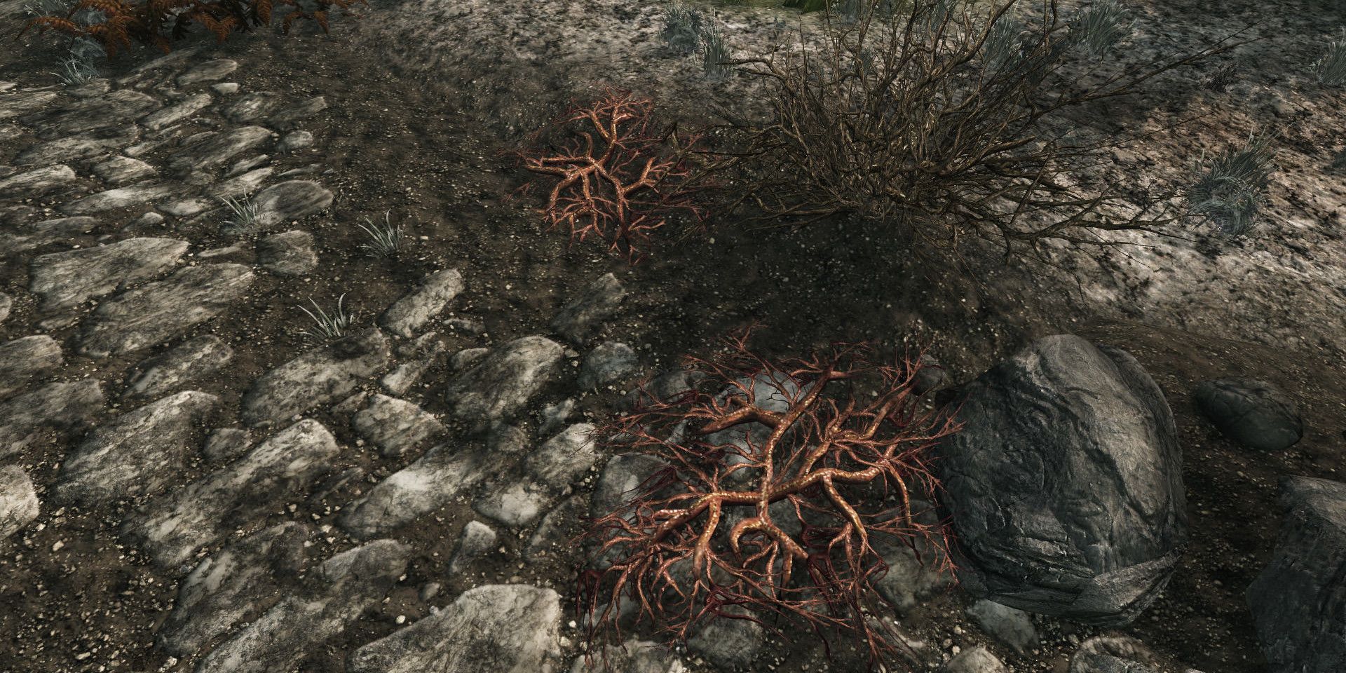 Skyrim: Cómo recolectar racimos de creeps