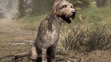 Skyrim: Por qué Clavicus Vile le pidió al Dragonborn que matara a Barbas
