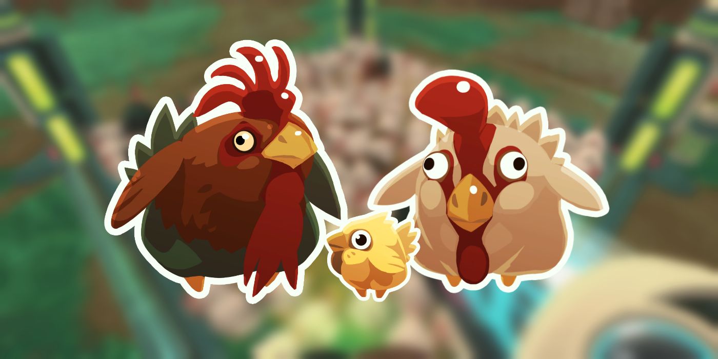 Slime Rancher: Cómo criar pollos