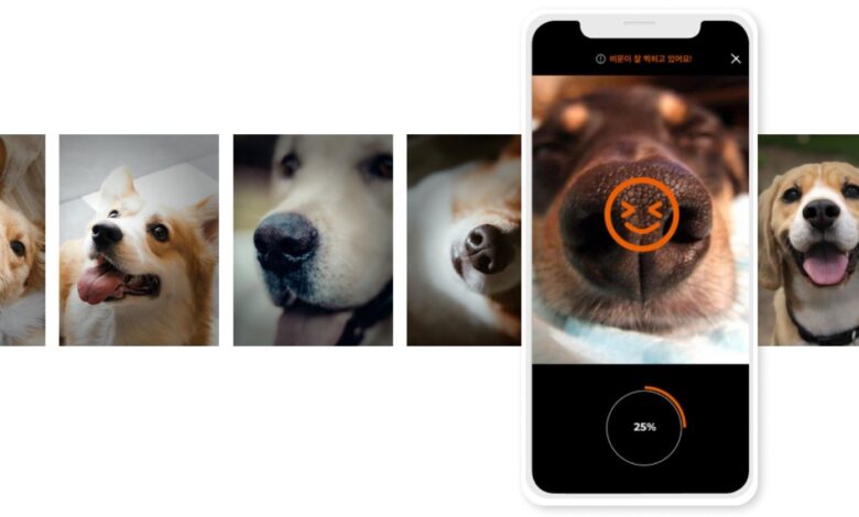 Startup respaldada por Samsung ofrece una aplicación de autenticación biométrica para perros
