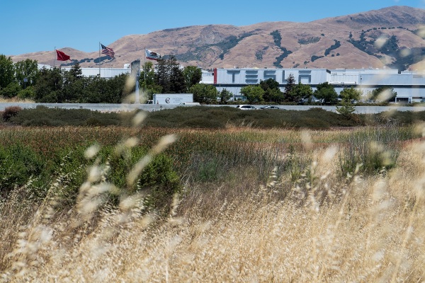 Tesla aprovecha el barril de recuperación del mercado y anuncia una venta de acciones de $ 5 mil millones