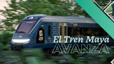 Tren Maya | No hubo tala de 20 mil árboles, fue rescate, aclara Fonatur