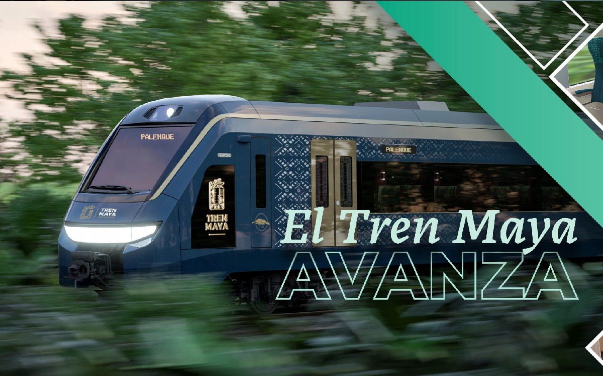 Tren Maya | No hubo tala de 20 mil árboles, fue rescate, aclara Fonatur