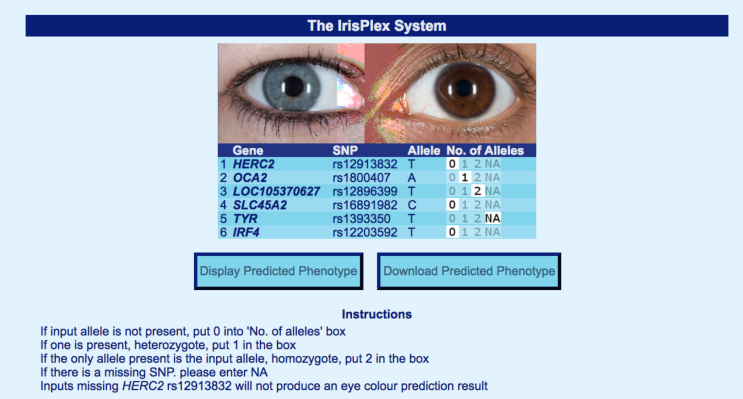 Una herramienta web gratuita puede predecir el color de tu cabello, piel y ojos a partir de datos de ADN