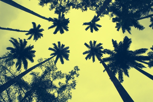 VTEX, plataforma de comercio electrónico utilizada por Walmart, recauda $140M liderada por el fondo LatAm de SoftBank