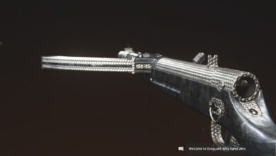 Warzone Pacific Caldera: el mejor equipamiento de Type 100