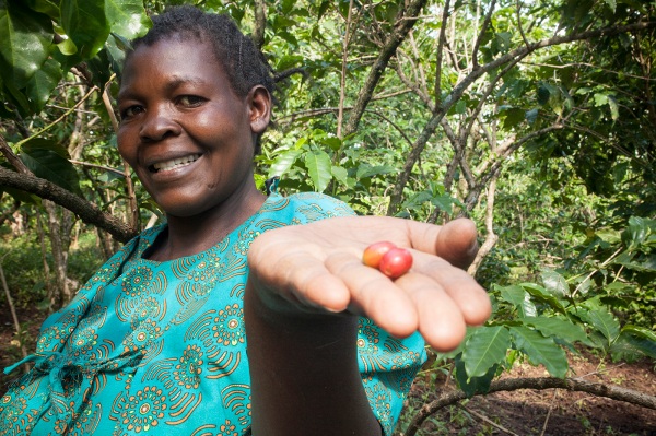 WeFarm recauda $ 13 millones para hacer crecer su mercado y su red para agricultores independientes