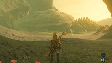 Zelda BOTW: Cómo encontrar huesos de Leviatán (todas las ubicaciones)