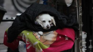 ¡Abrígate! Activan alerta naranja por frío y heladas en CDMX