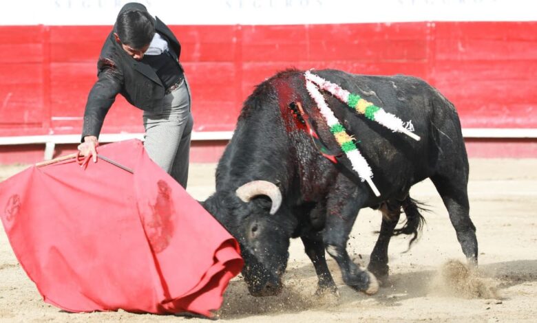 ¡Fin a la tauromaquia en Sinaloa! Congreso anula el veto de exgobernador