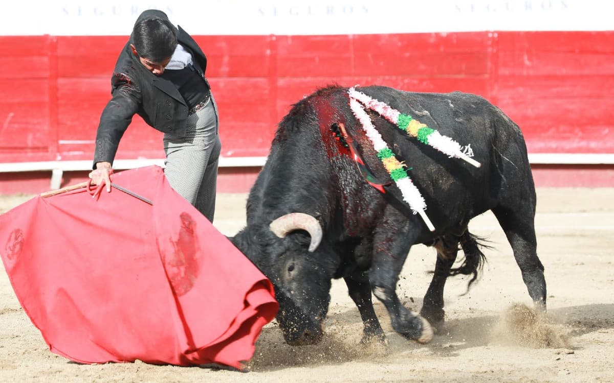 ¡Fin a la tauromaquia en Sinaloa! Congreso anula el veto de exgobernador