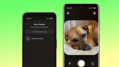 ¿La aplicación Locket está disponible para Android?  Esto es lo que necesita saber