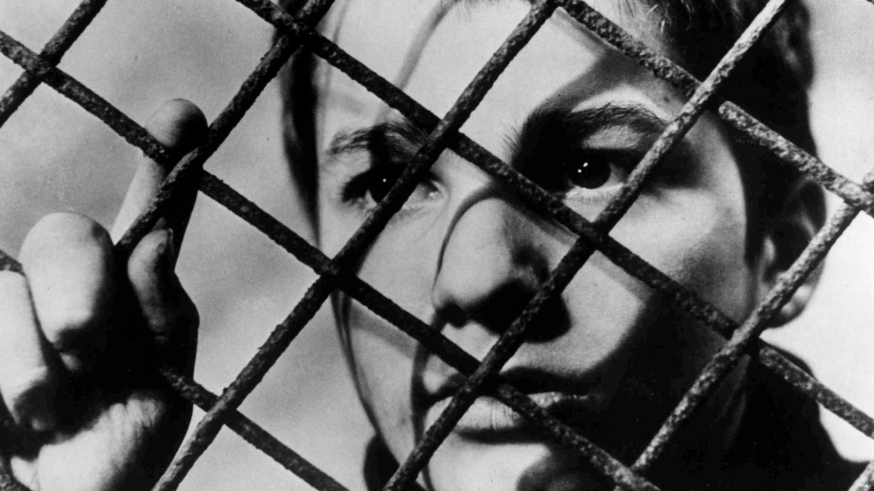 ‘Belfast’ y otras 5 películas sobre el paso de la niñez a la vida adulta