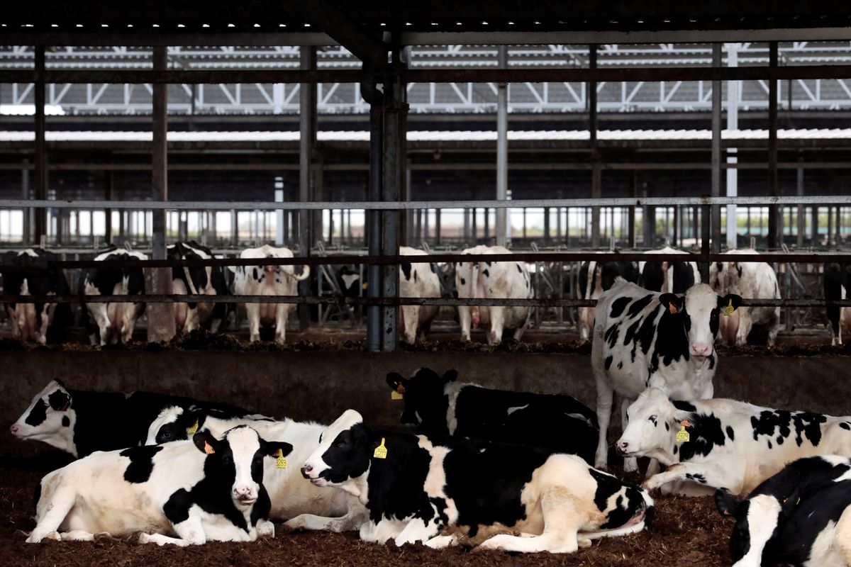 Fallas en la alimentación