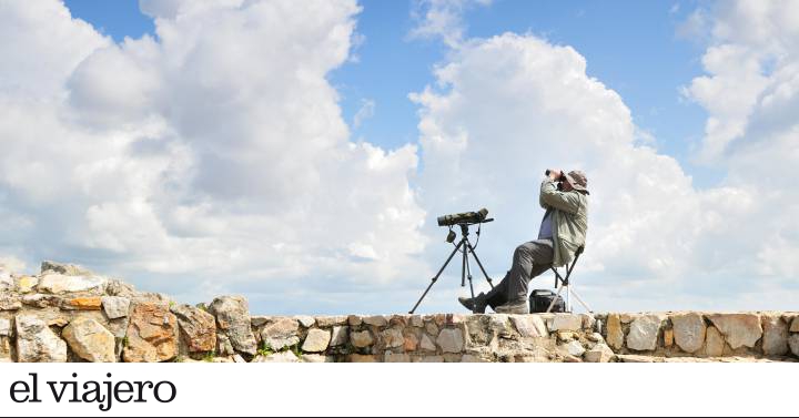 Siete enclaves naturales en España para disfrutar del placer de observar aves