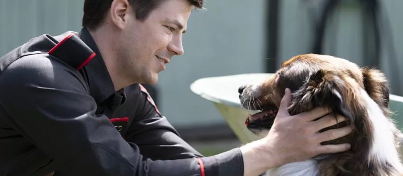 rescatado por ruby ​​netflix banner