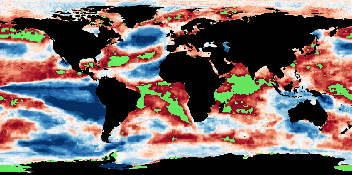 Las temperaturas extremas son la nueva normalidad en los océanos