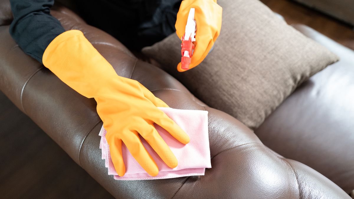 15 productos profesionales para restaurar el cuero de muebles, textiles o tapicerías del coche