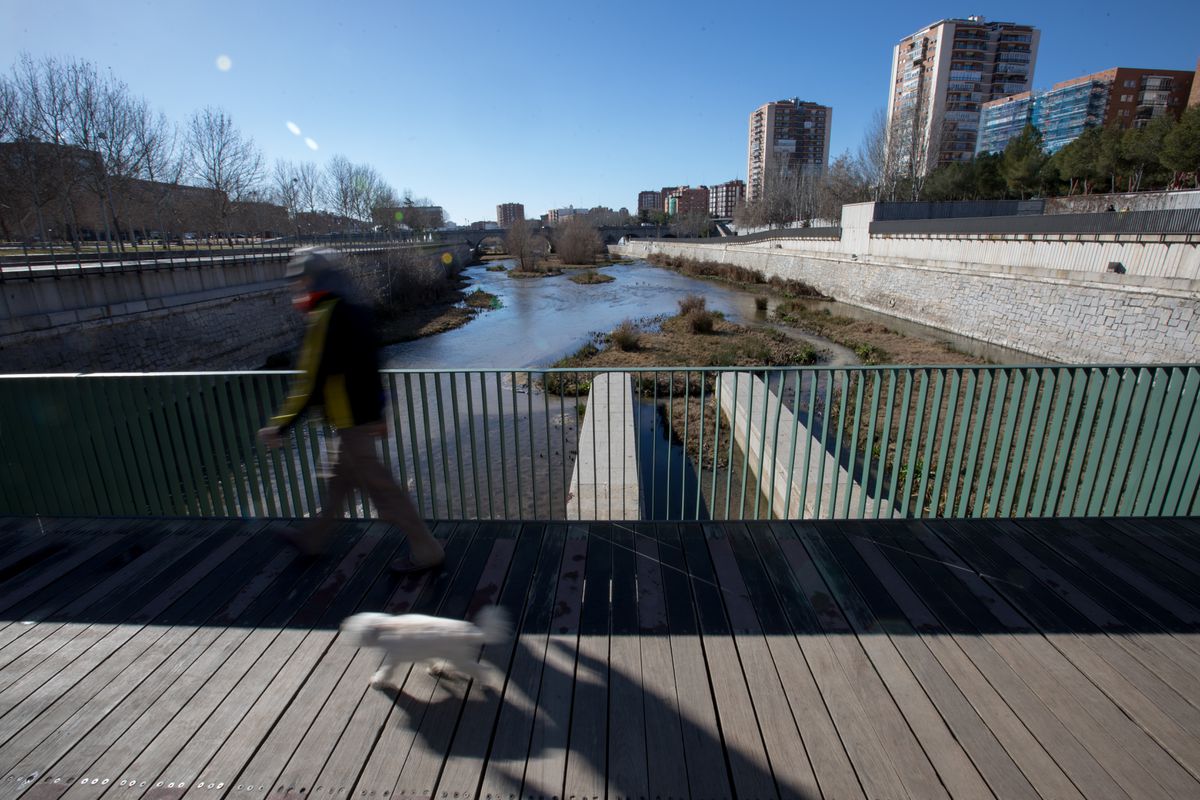 El río Manzanares es el más contaminado por fármacos de Europa