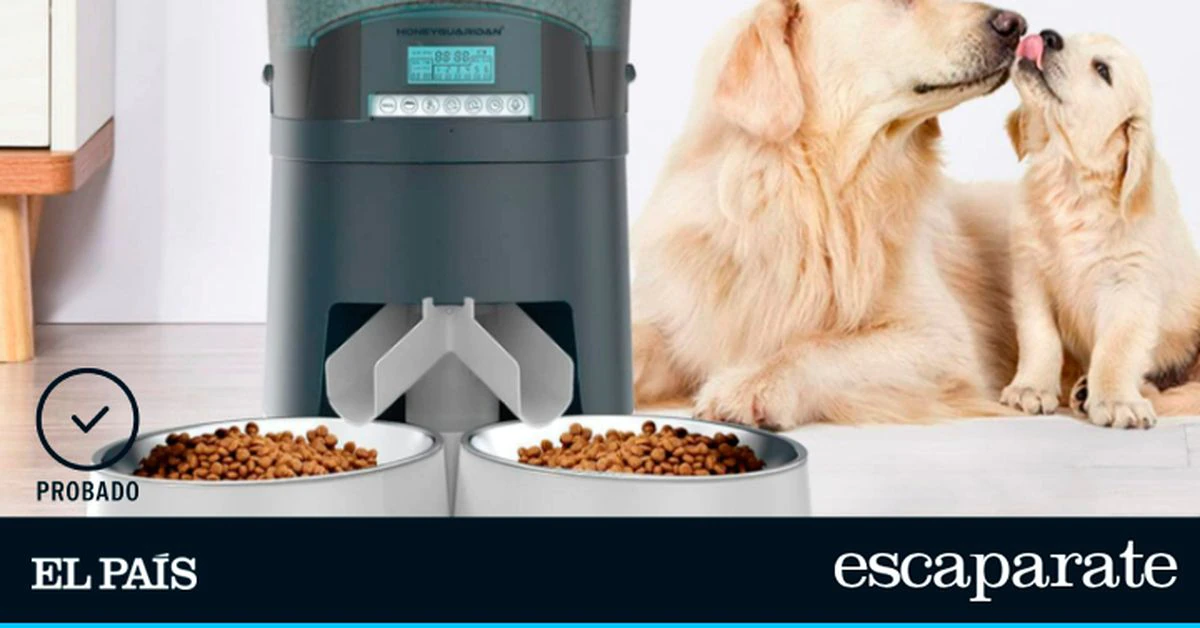 Los mejores comederos automáticos para perros y gatos