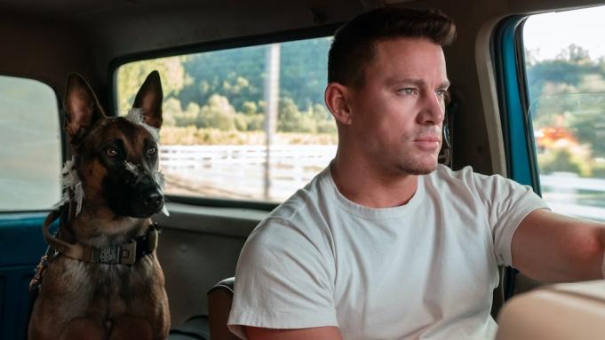 perro-pelicula-channing-tatum.jpg perro-pelicula-channing-tatum.jpg