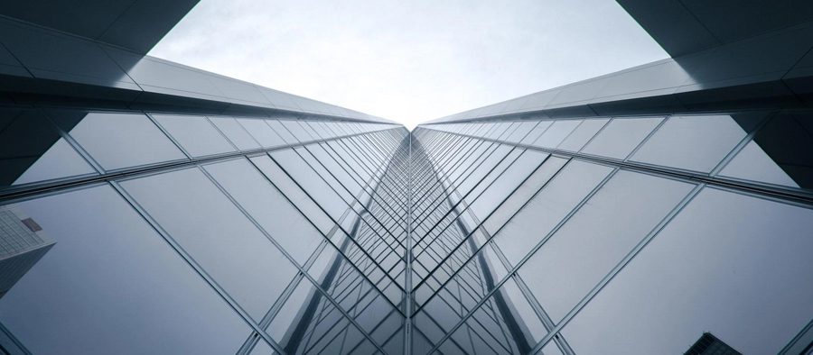 rey de stonks netflix