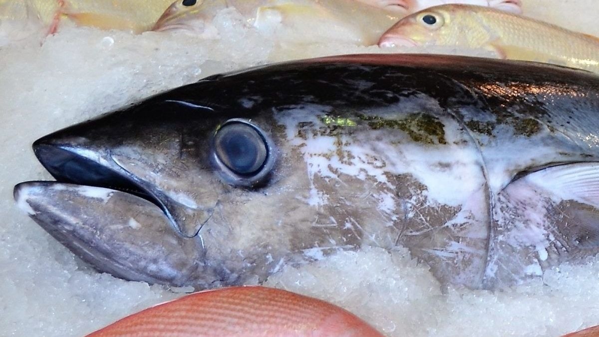 5 trucos para saber si el pescado es fresco, de forma sencilla y rápida