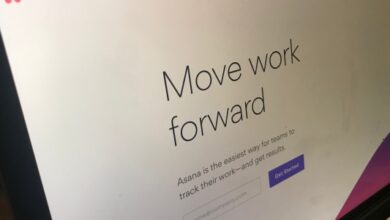 Asana raises $75M Series D led by Al Gore’s Generation Investment Management