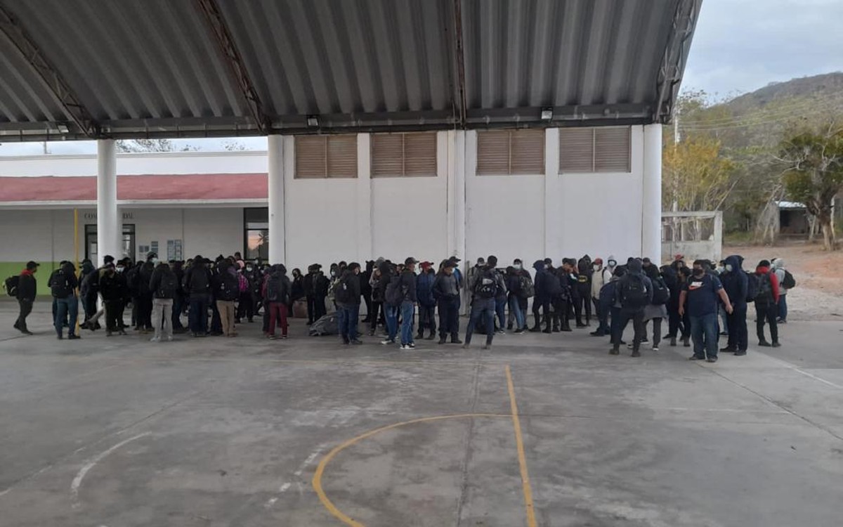 Aseguran a más de 200 migrantes en Oaxaca y SLP