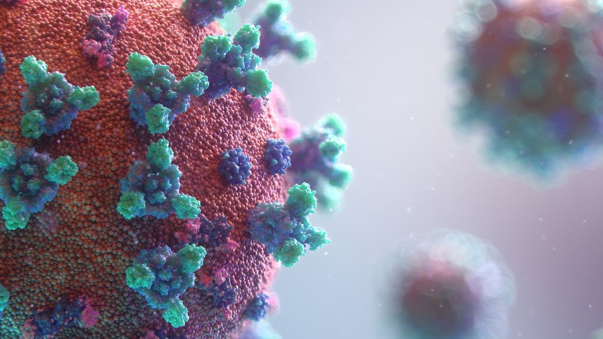 Bill Gates predice cuántas personas morirán de coronavirus en EE.UU hasta que llegue la vacuna