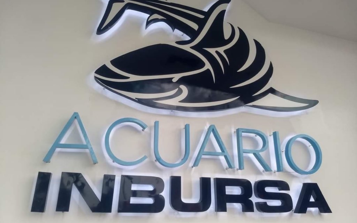 Bióloga-buzo del Acuario Inbursa murió de asfixia por sumersión: Fiscalía CDMX