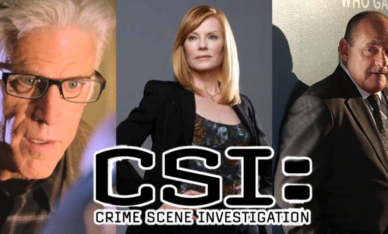 CSI necesita abordar los años del FBI de Catherine (y por qué terminaron)