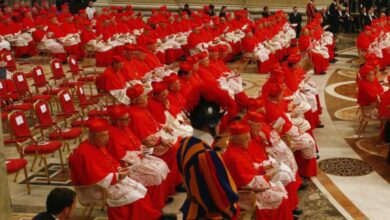 Cardenal pide que se revise la doctrina católica sobre la homosexualidad