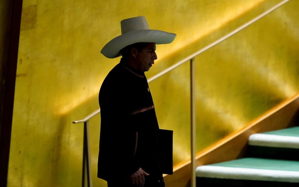 'Castillo debe reconsiderar quiénes forman su entorno más cercano': ex primera ministra de Perú