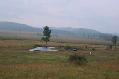 Marismas cerca del nacimiento del río Amur.