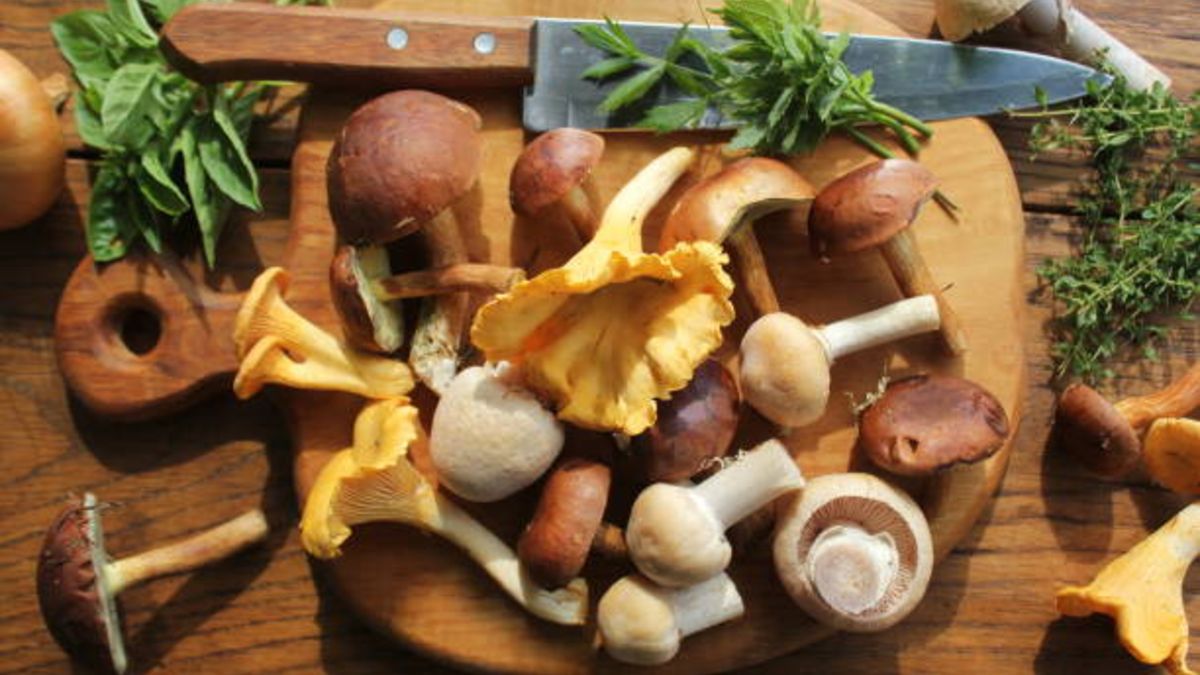 Cómo conservar las setas de otoño durante todo el año