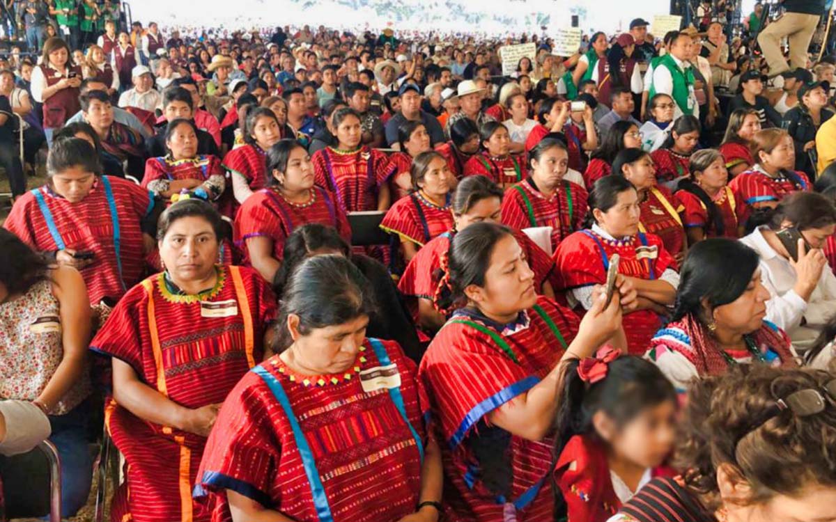 Crean la Universidad de las Lenguas Indígenas de México para rescatar riqueza lingüística