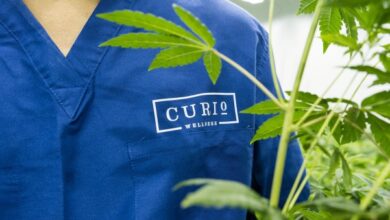 Curio Wellness lanza un fondo de $ 30 millones para ayudar a las mujeres y las minorías a poseer un dispensario de cannabis