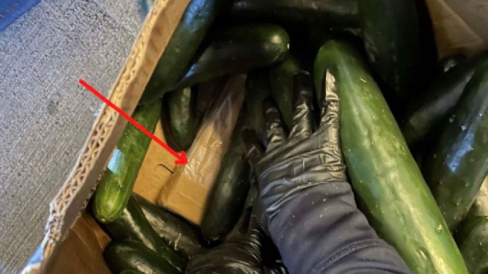 Decomisan 300 kilos de cocaína, iban ocultos entre pepinos