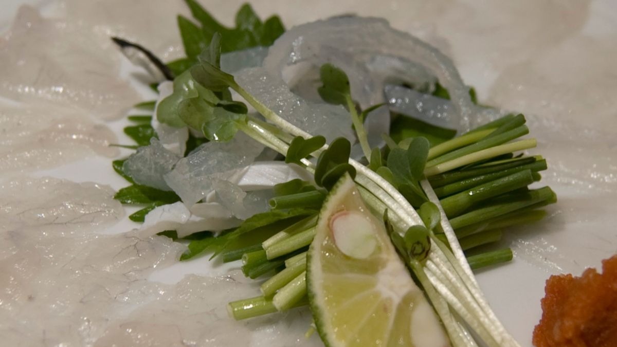 Descubre las comidas más raras del mundo: ¿las probarías?