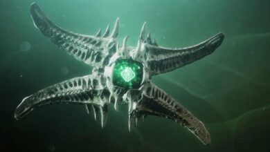 Destiny 2 Fynch Reputation Farm Trick puede hacer que el jugador suba 15 niveles en horas