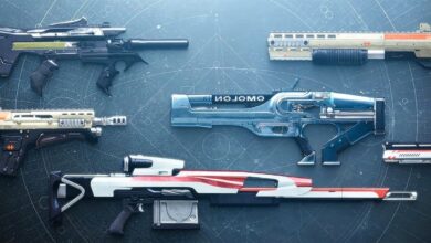 Destiny 2 Player Trolls con Fake Claims Mystery Exotic Weapon