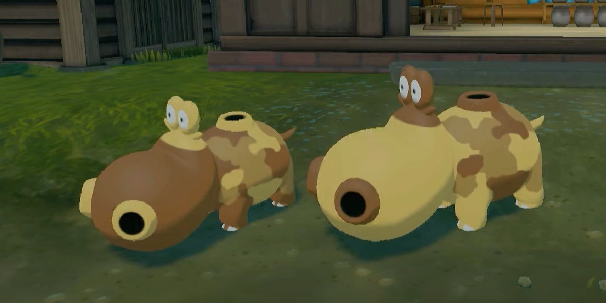 Dónde atrapar hipopótamos macho y hembra en Pokémon Legends: Arceus